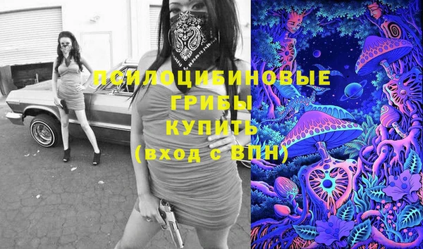 ГАЛЛЮЦИНОГЕННЫЕ ГРИБЫ Алексин