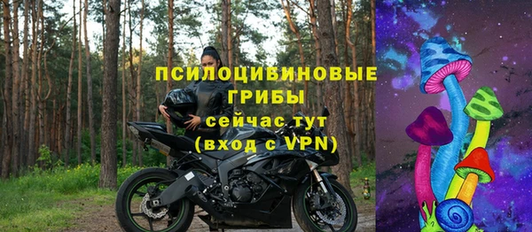хмурый Алексеевка
